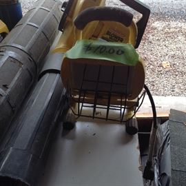 Lawn blower and vacuum