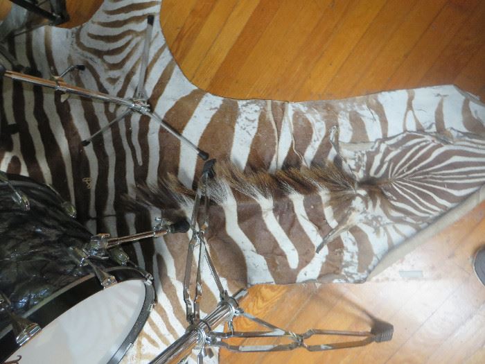 To purchase this zebra skin buyer must produce a valid photo id from AL