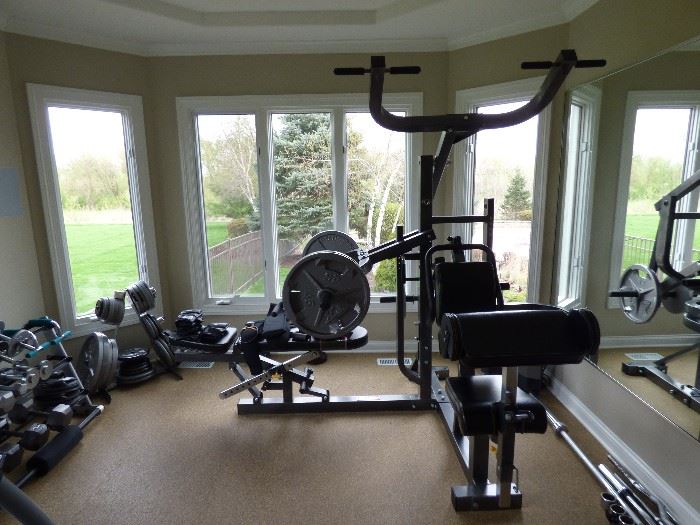 PowerTec home gym only.  Remaining equipment not for sale.