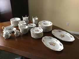 Vintage EDELSTEIN Rosetta china set