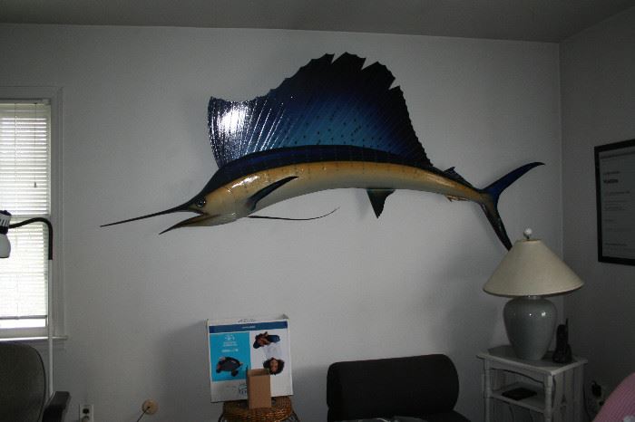 Genuine sailfish taxidermy.  Excellent condition!