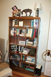 Bookcase with books