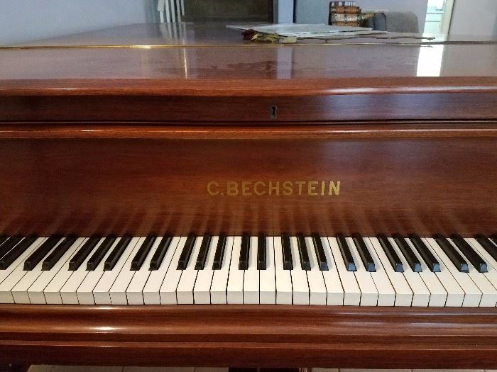 1897  C. Bechstein Grand Piano ~Gorgeous!!!