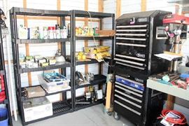 Paint, Tile cutting System, Plant Chemicals, Fan, Roll Around Tool Box with Tools