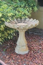 Bird Bath