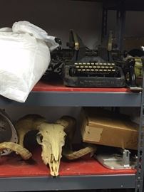 Antique Typewriter, Skull with Horns and more