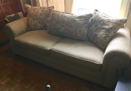 2 cushion sofa