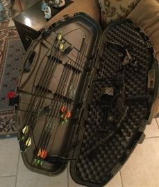 way-cool bow with case