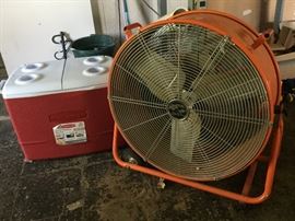 REALLY big fan.