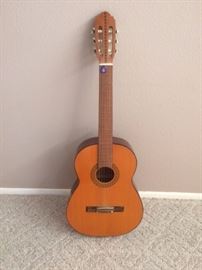 Acoustic Guitar