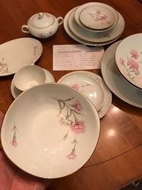 Royal Court china set. 100 piece set