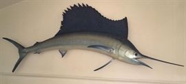 NEAR EIGHT FOOT BLUE MARLIN TAXIDERMY