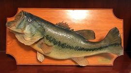 Wide Mouth Bass Taxidermy 