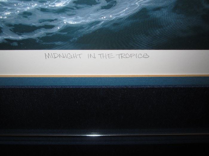 "Midnight In The Tropics"
