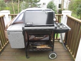 Weber Grill