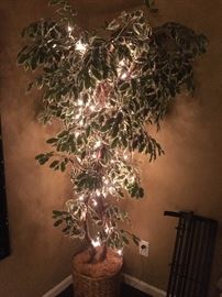 Silk tree wrapped with lights