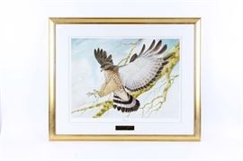 John Ruthven Signed Limited Edition Offset Lithograph "Broadwing": A limited edition offset lithograph titled Broadwing by renowned wildlife artist John A. Ruthven (Cincinnati, 1924 – ). A broadwing hawk is depicted mid-flight with its talons extended before a birch tree. Edition number 98 of 1000, signed in plate and in pencil to the lower right-hand corner. Presented behind off-white mat, under glass, in a beveled gold tone frame. A brass name plate is mounted to the front of the mat reading, "For outstanding achievement, Broadwing April 2000.
