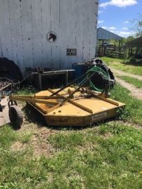 King Kutter. Believed to only be 4 years old.