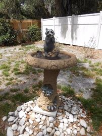 raccoon bird bath