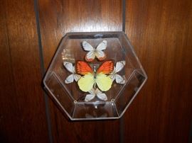 signed butterfly art