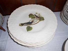 alfred meakin england audubon plates