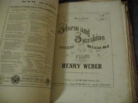 Storm and Sunshine episode