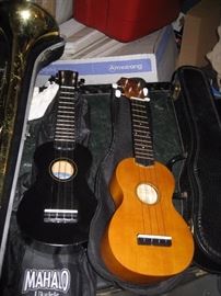 Ukuleles 