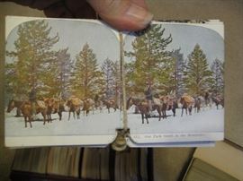 Stereoscope picture cards 