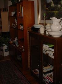 More of the bookcases