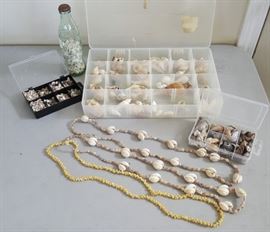 DCK021 Real Seashell Collection, Shell Lei