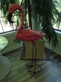 more flamingo's