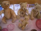 ANTIQUE STEIFF BEARS