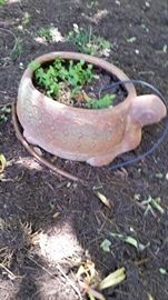 Lots of Plants