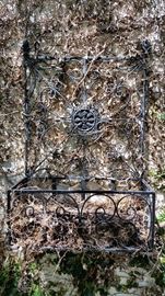 Iron