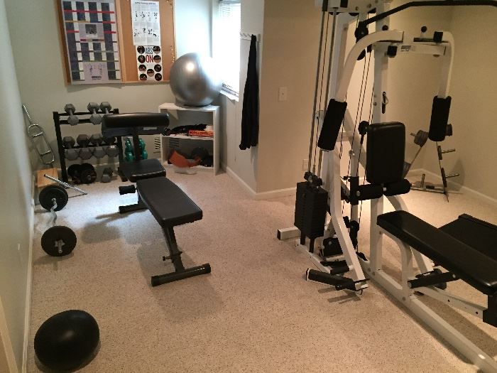 TRUE treadmill, parabody home bym, free weights, barbells