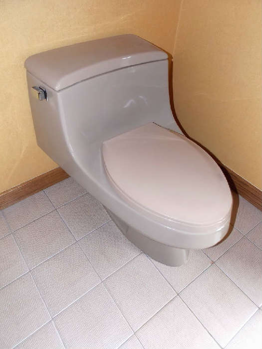 one piece grey toilet