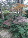 landscaping stone bolders
