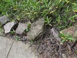 landscaping stone bolders