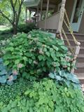 landscaping stone bolders