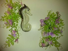 sseahorse