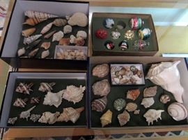 Seashells, vintage/antique Christmas ornaments