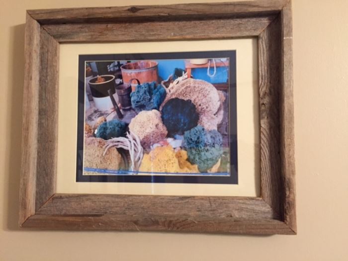 Barnwood framed Sponges photo