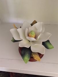 magnolia blossom by Andrea