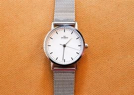Women's Skagen Watch