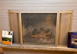 Contemporary Fireplace Screen