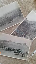 Historic Zane Grey Outfit , Photos Trip to Rainbow Bridge 1913