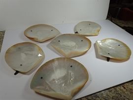 SHELL SERVING DISHES