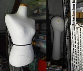 STORE DISPLAY AND DRESS FORM