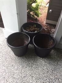 Outdoor Pots