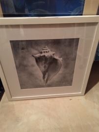 Framed seashell art